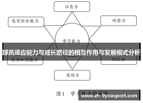 球员适应能力与成长路径的相互作用与发展模式分析